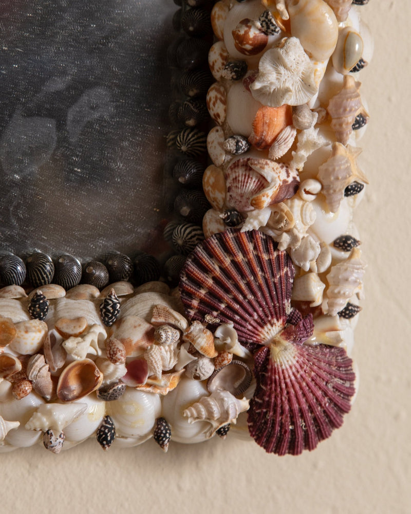 Collected Shell Wall Mirror - Lone Fox