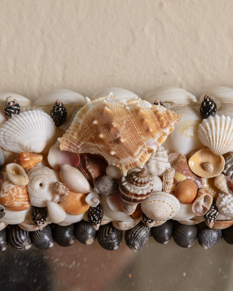 Collected Shell Wall Mirror - Lone Fox