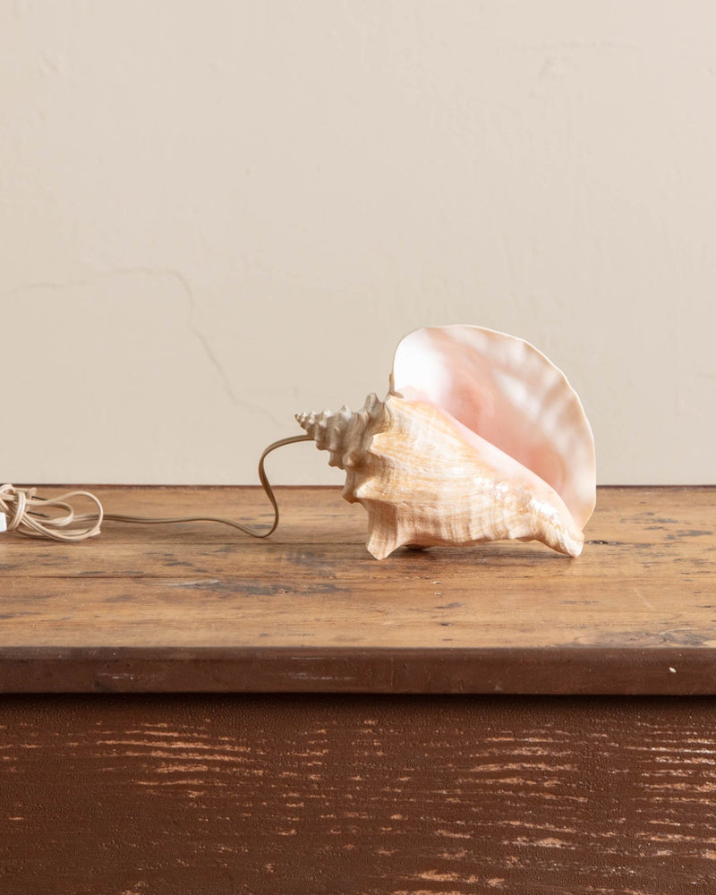 Conch Shell Lamp - Lone Fox