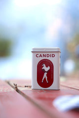 Conversation Starter Playing Cards - Lone Fox
