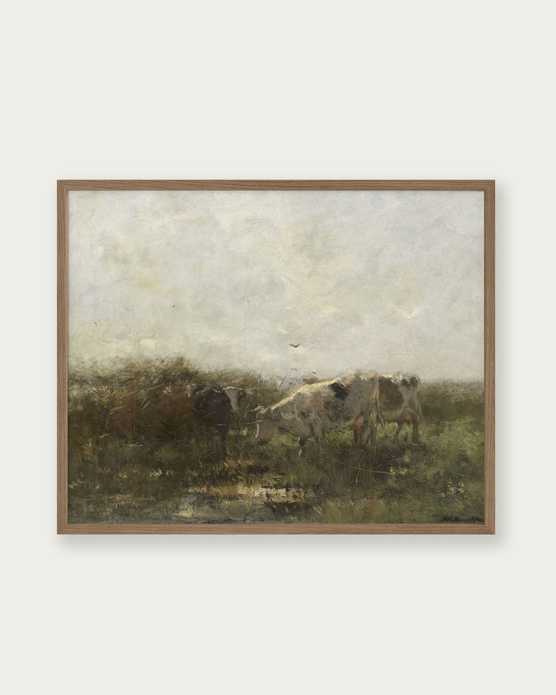 "Cows Grazing" Art Print - Lone Fox