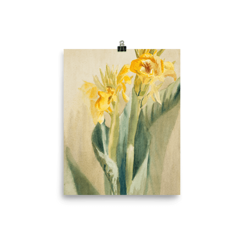 "Daffodil 1915" Art Print - Lone Fox