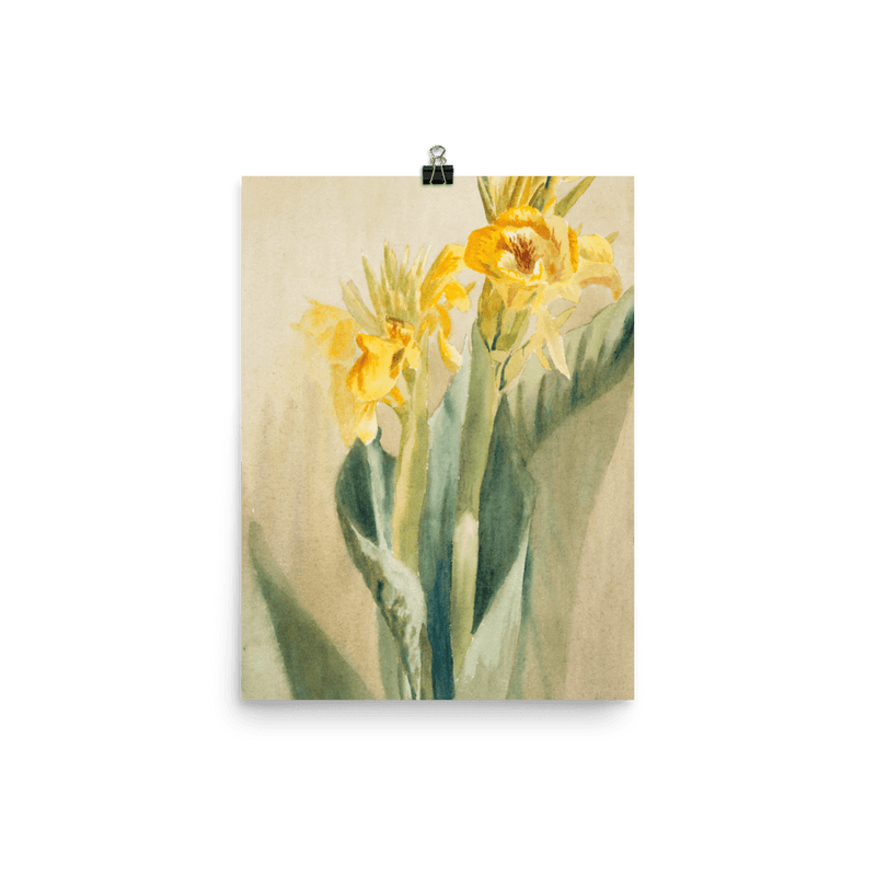 "Daffodil 1915" Art Print - Lone Fox