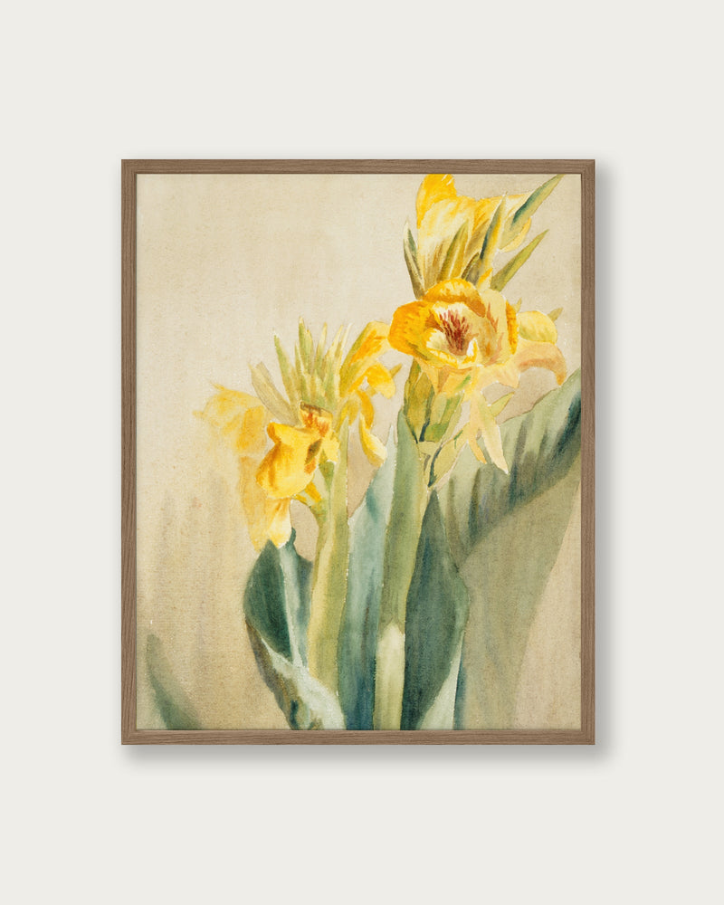 "Daffodil 1915" Art Print - Lone Fox