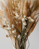 Daisies and Plumes Bouquet - Lone Fox