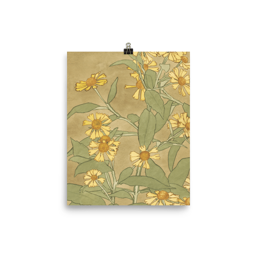 daisies-with-orange-center-and