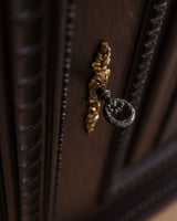 Dark Carved Oak Cabinet w/ Linen Fold Doors, France, 1890's - Lone Fox