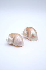 Seashell Napkin Ring