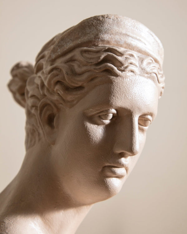 Diana Of Versailles Plaster Bust Statue - Lone Fox