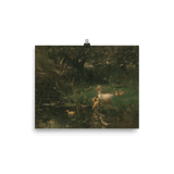"Eendjes" Art Print - Lone Fox