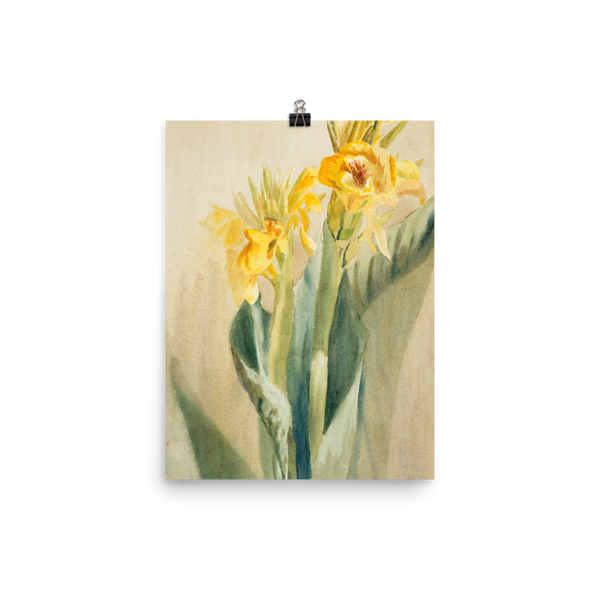 "Daffodil 1915" Art Print