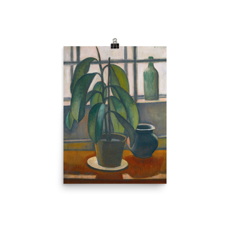 "Rubber Plant On A Window Ledge" Art Print