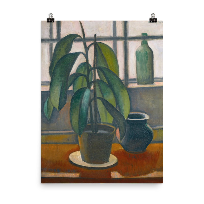 "Rubber Plant On A Window Ledge" Art Print