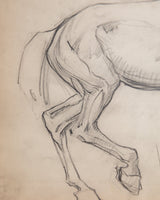 Equestrian Horse Pencil Sketch with Red Linen Mat, France, 1930s - Lone Fox