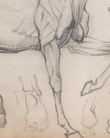 Equestrian Horse Pencil Sketch with Red Linen Mat, France, 1930s - Lone Fox