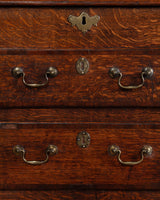 European Oak Mule Chest, Europe, 18th/19th Century - Lone Fox
