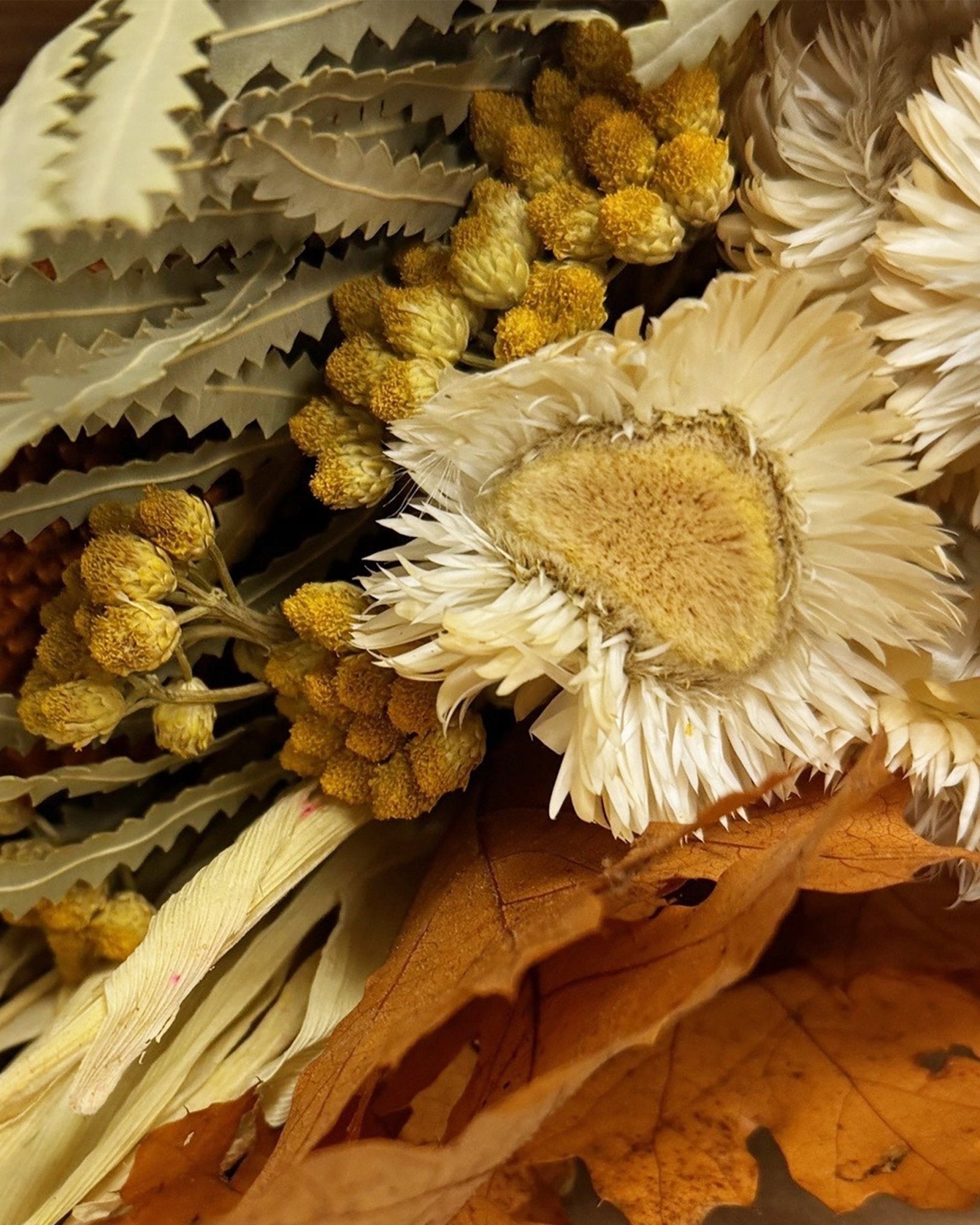 Fall Days Dried Floral Bouquet - Lone Fox