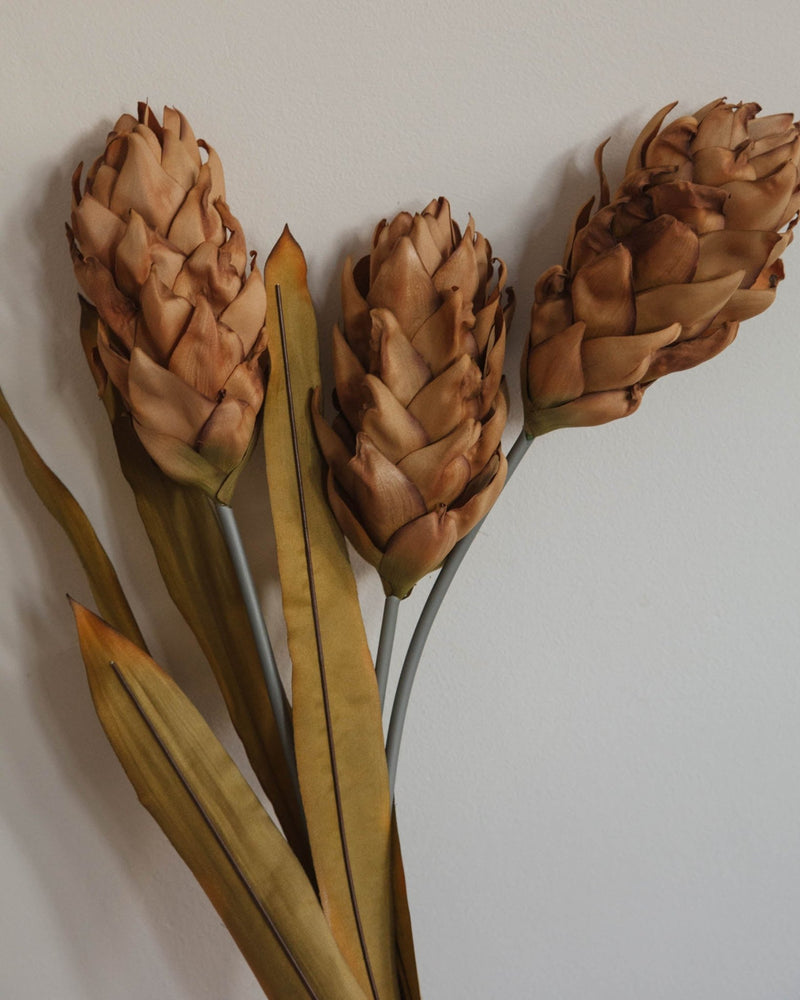 Faux Ginger Triple Flower Stem - Lone Fox