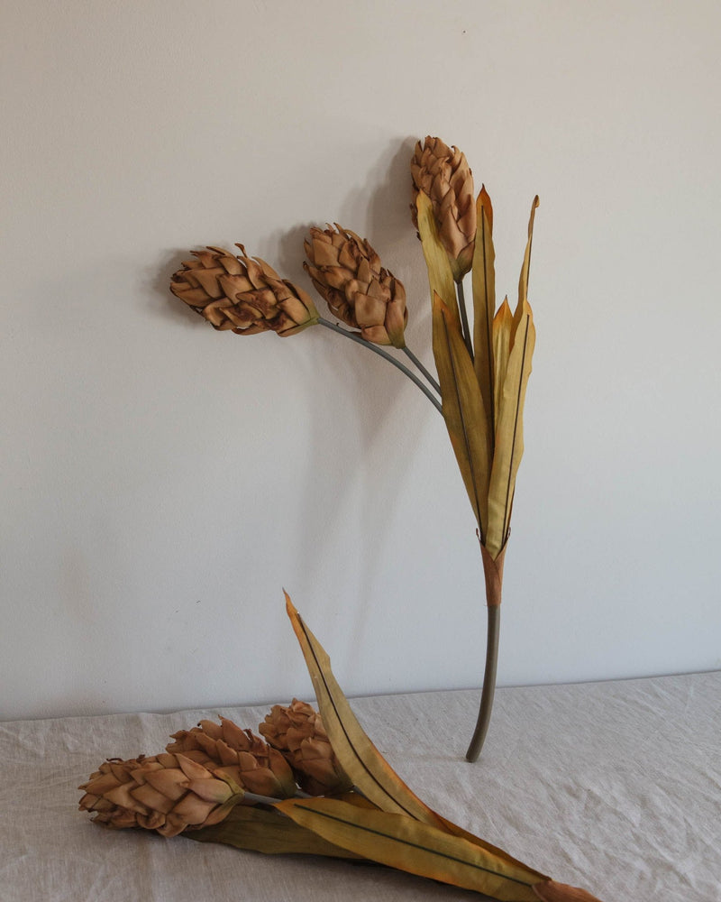 Faux Ginger Triple Flower Stem - Lone Fox