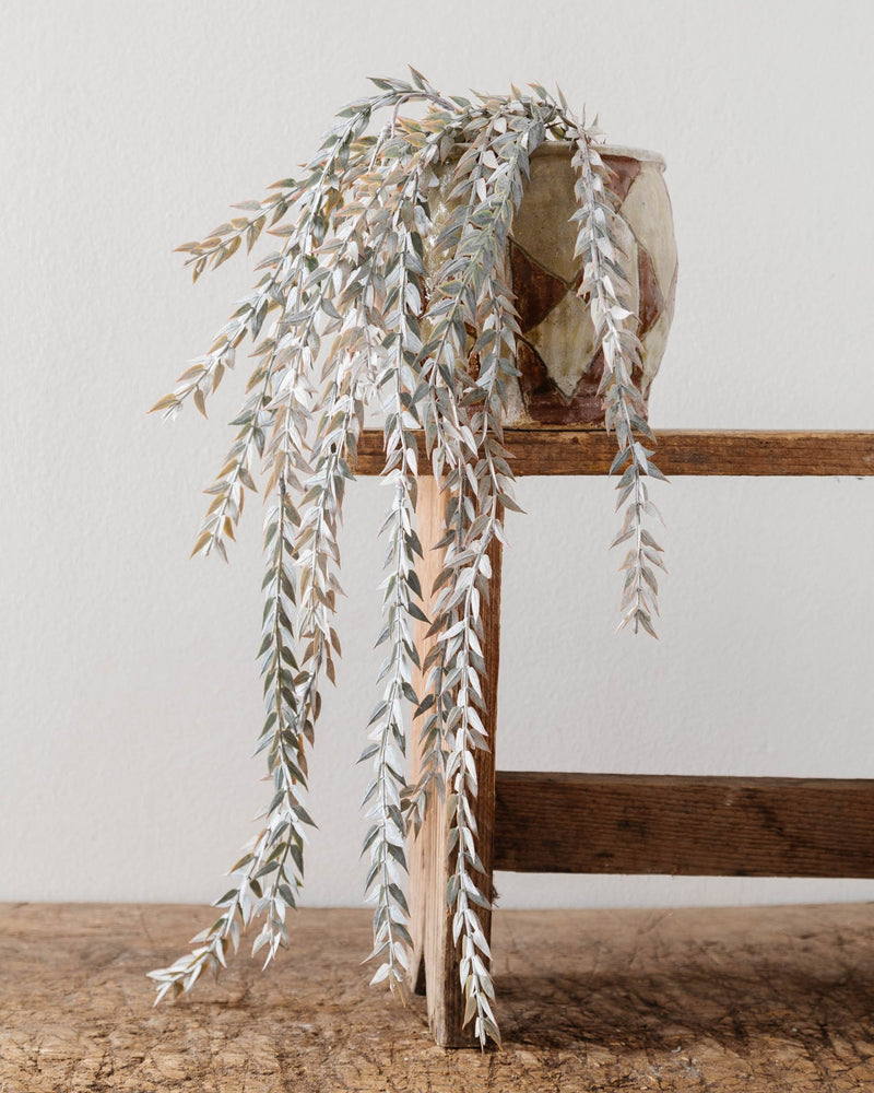 Faux Trailing Plant (2 Styles) - Lone Fox