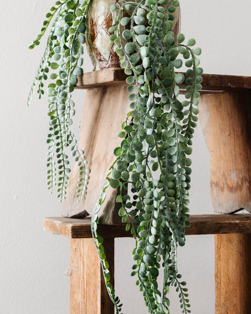 Faux Trailing Plant (2 Styles) - Lone Fox