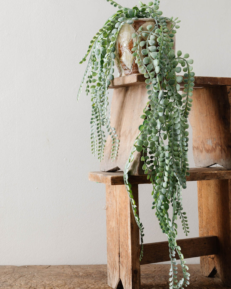 Faux Trailing Plant (2 Styles) - Lone Fox