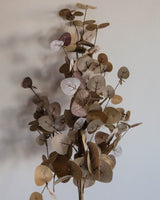 Faux Two - Tone Eucalyptus Stem - Lone Fox