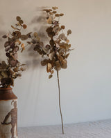 Faux Two - Tone Eucalyptus Stem - Lone Fox