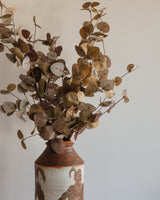 Faux Two - Tone Eucalyptus Stem - Lone Fox