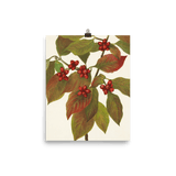 "Flowering Dogwood" Art Print - Lone Fox