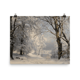 "Forest in Winter" Art Print - Lone Fox