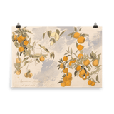 "Fruit trees" Art Print - Lone Fox