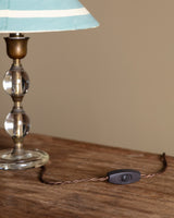 Glass and Brass Table Lamp w/ Hand Painted Shade, Italy, 1950s - Lone Fox
