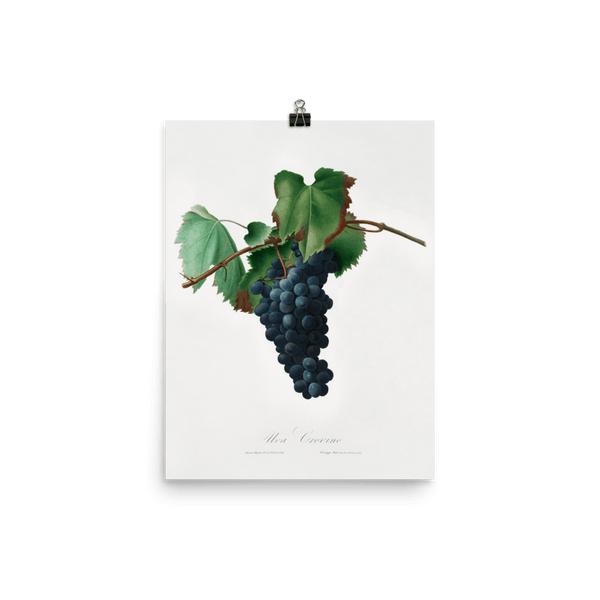 "Grape vine" Art Print - Lone Fox