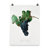 "Grape vine" Art Print - Lone Fox