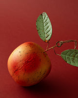 Hand - Painted Metal Toleware Apple Ornament - Lone Fox