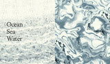Harmonious Home, The - Lone Fox