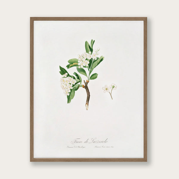 ラーソン、In the Hawthorn Hedge、希少画集画、新品額装付 hawthorn-flower-art-print-