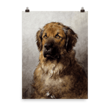 "Head of a Leonberger" Art Print - Lone Fox