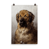 "Head of a Leonberger" Art Print - Lone Fox