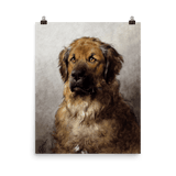 "Head of a Leonberger" Art Print - Lone Fox