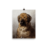 "Head of a Leonberger" Art Print - Lone Fox