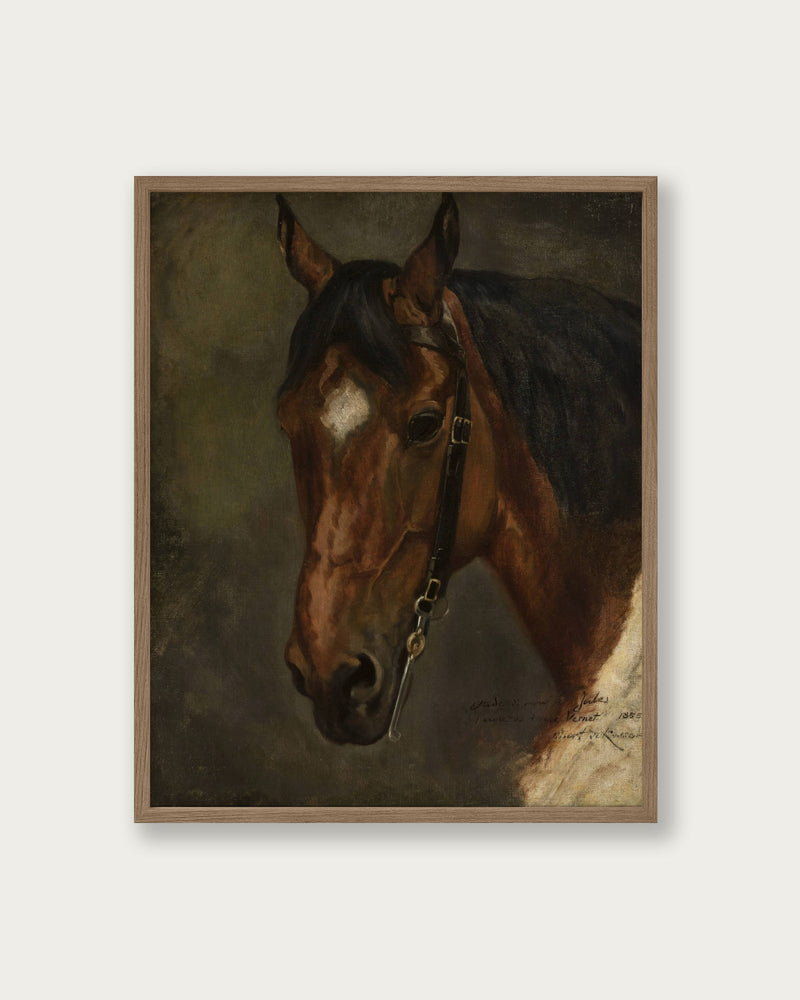 "Horse’s head" Art Print - Lone Fox