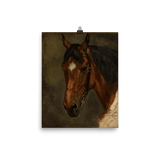 "Horse’s head" Art Print - Lone Fox