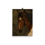 "Horse’s head" Art Print - Lone Fox
