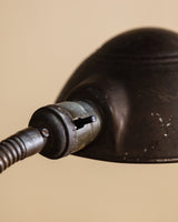 Industrial Cast Iron Gooseneck Desk Lamp, Europe, 1940's - Lone Fox