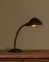 Industrial Cast Iron Gooseneck Desk Lamp, Europe, 1940's - Lone Fox