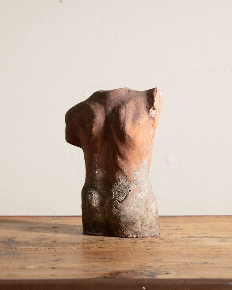Large Male Clay Torso w/ Aged Patina, Early 20th Century - Lone Fox