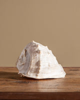 Large Queen Helmet Shell - Lone Fox