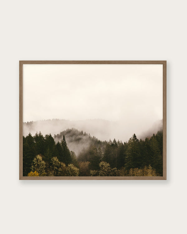 "Mist over dark green woods" Art Print - Lone Fox